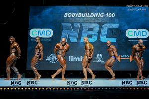 BODYBUILDING 100